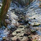 Winterimpressionen am Waldbach