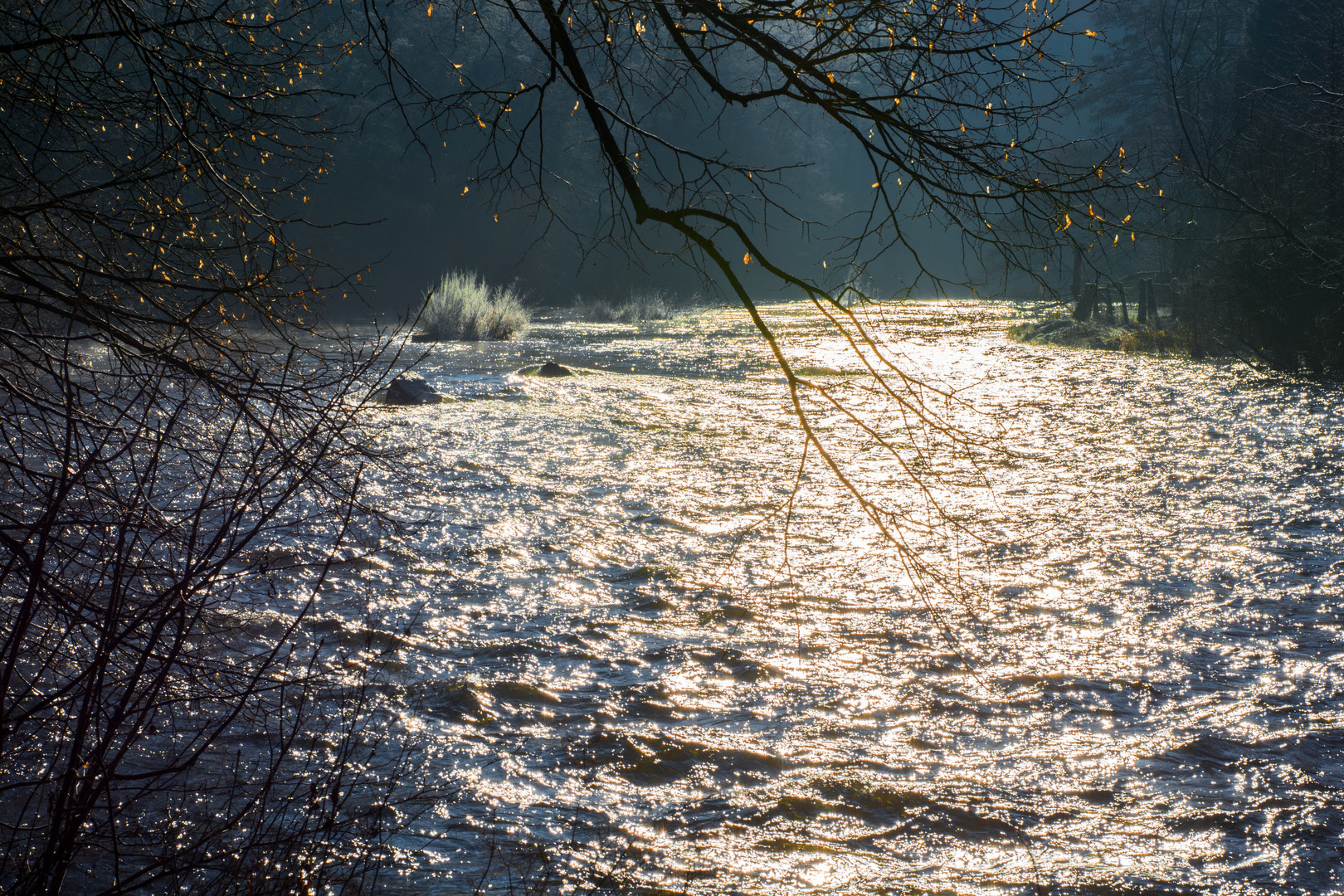 Winterimpressionen an der Rur (Eifel)