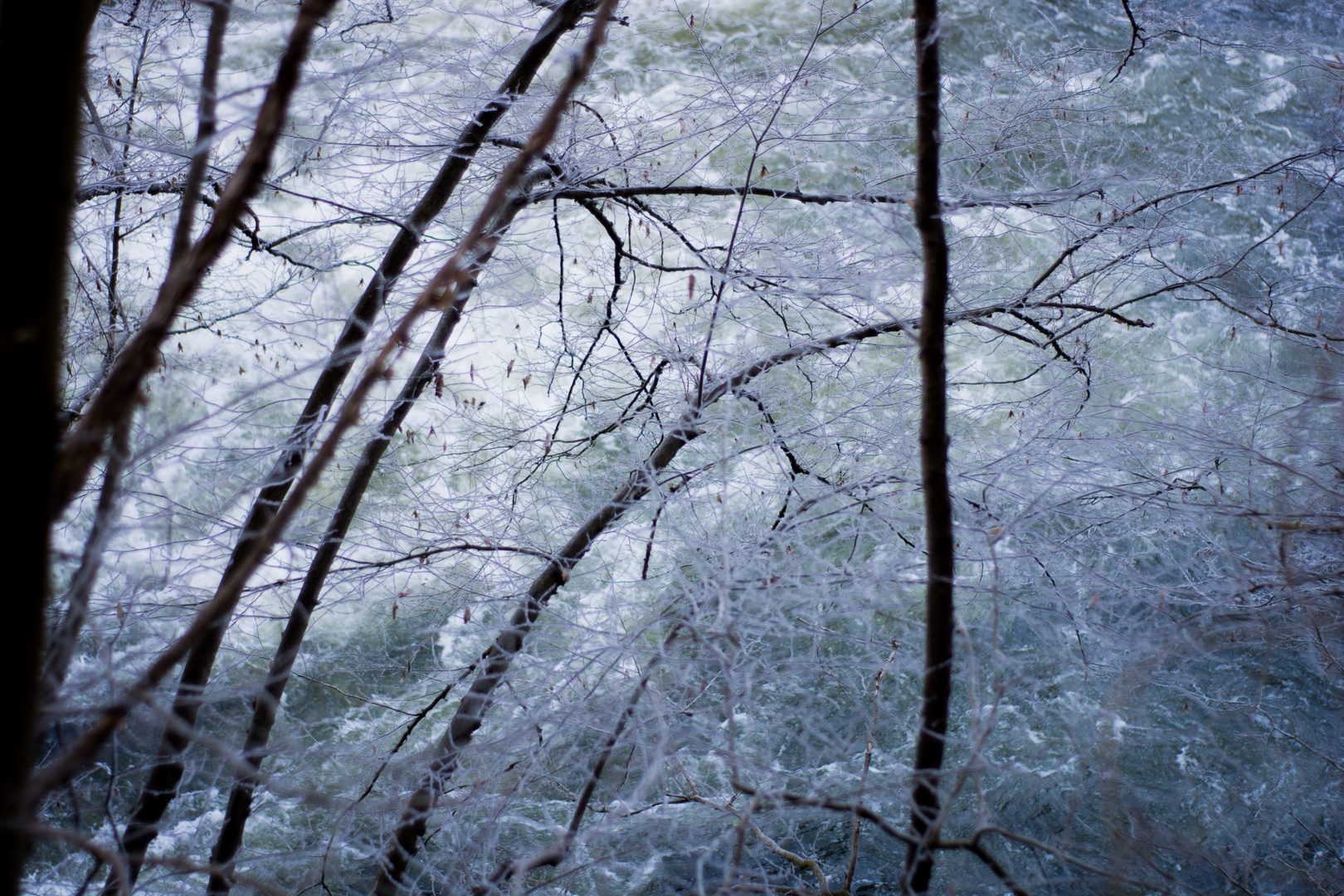 Winterimpressionen an der Rur (Eifel)