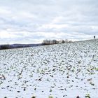 Winterimpressionen auf dem Hangarder Flur