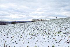 Winterimpressionen auf dem Hangarder Flur