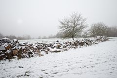 Winterimpressionen auf den Hangarder Wiesen