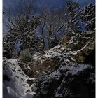 Winterimpressionen aus dem Schwarzwald