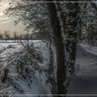 Winterimpressionen aus der Heimat