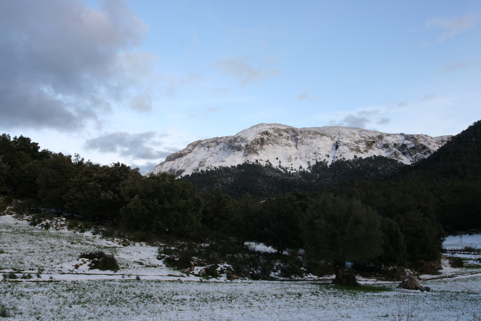 Winterimpressionen aus Mallorca I