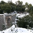 Winterimpressionen aus Mallorca II