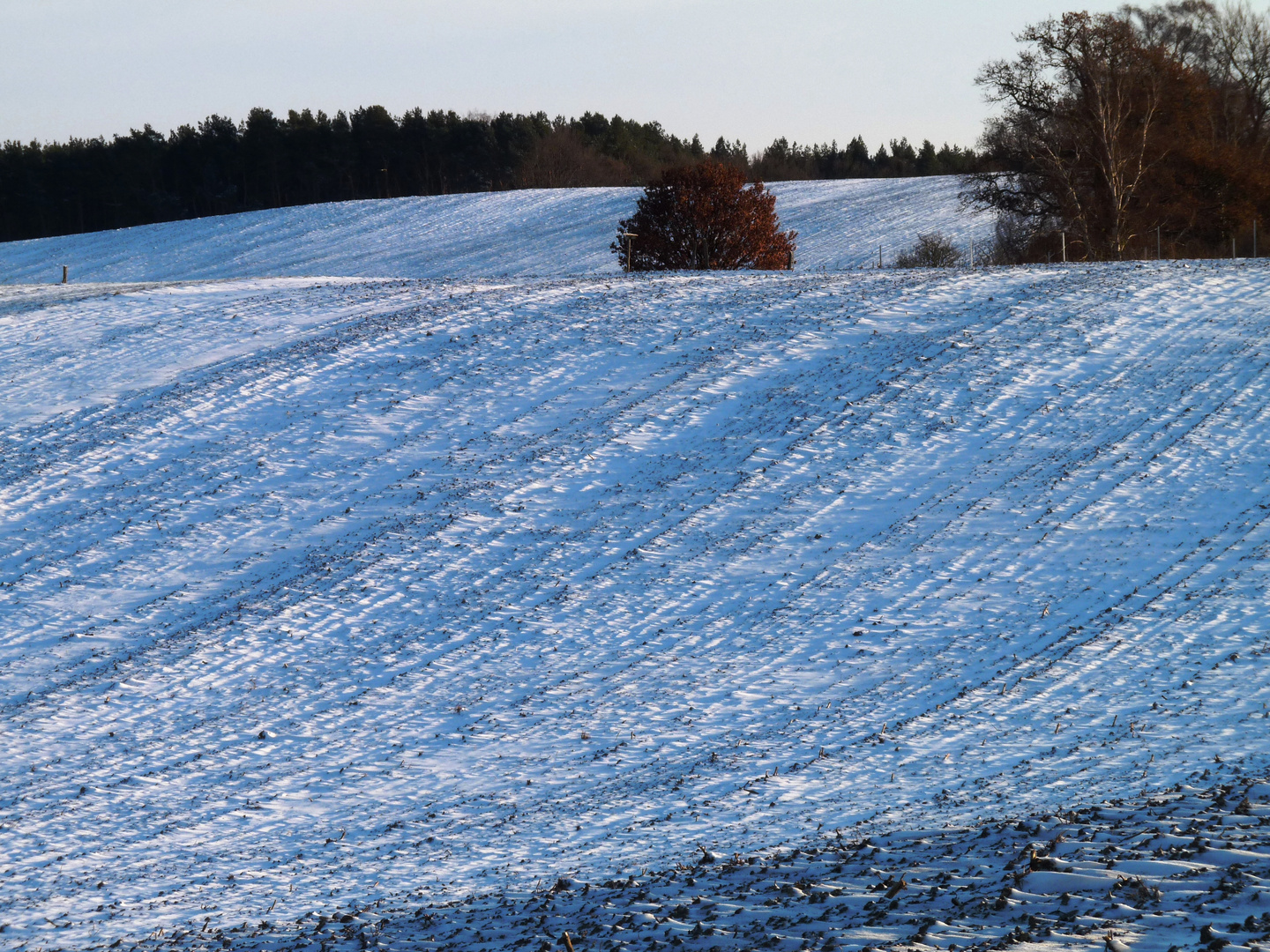 Winterimpressionen aus Mühl Rosin