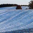 Winterimpressionen aus Mühl Rosin