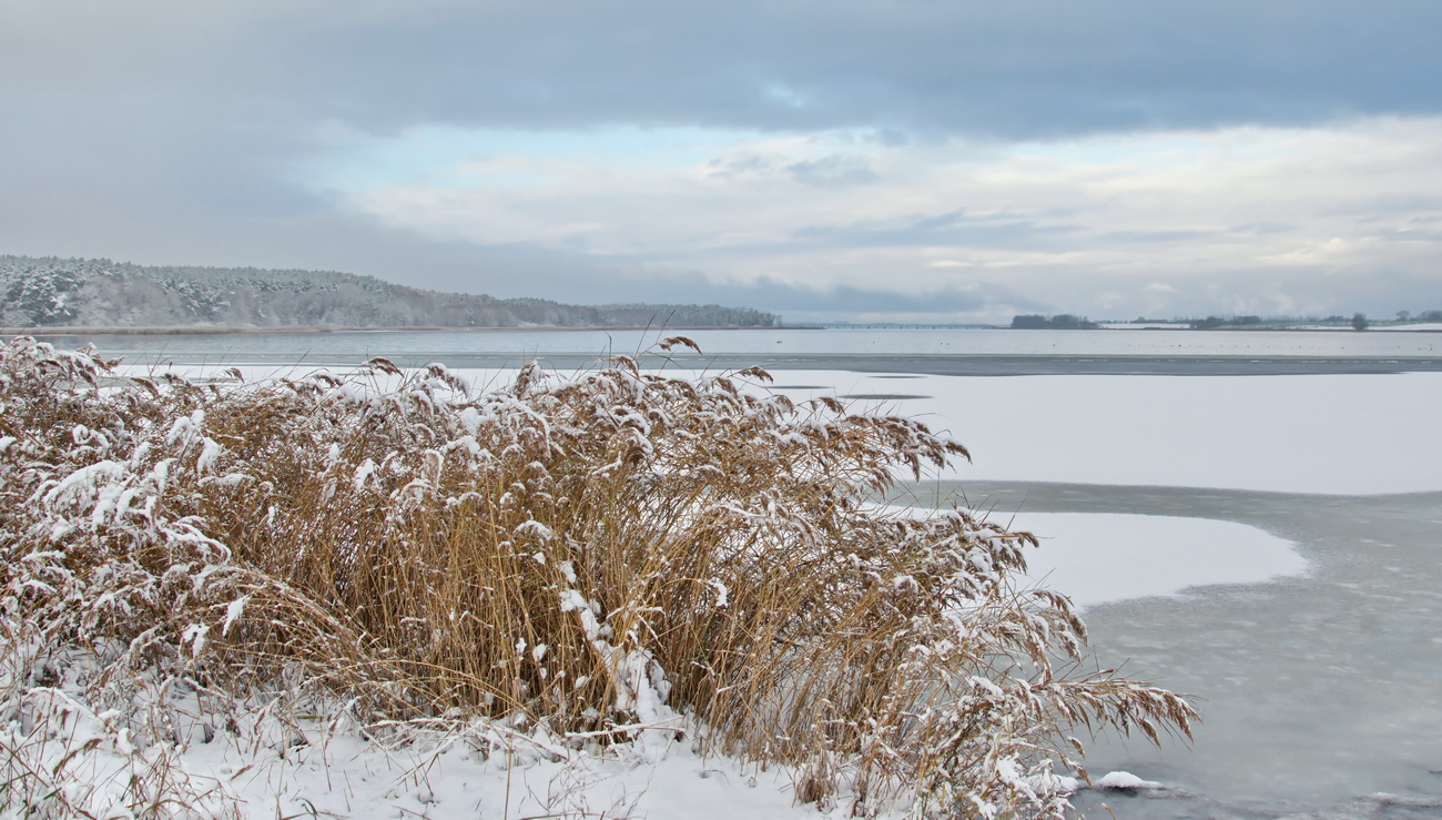 Winterimpressionen