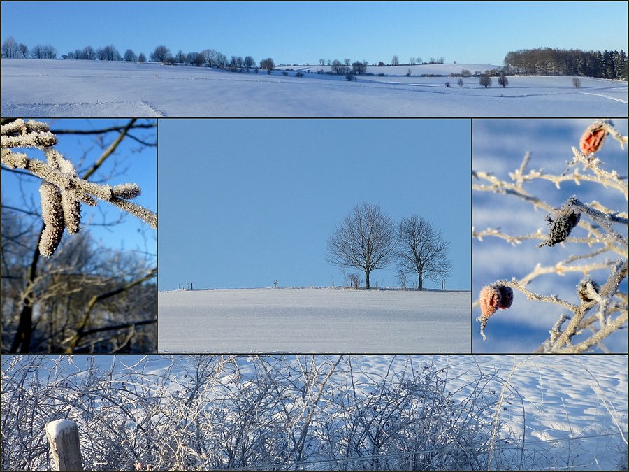 Winterimpressionen