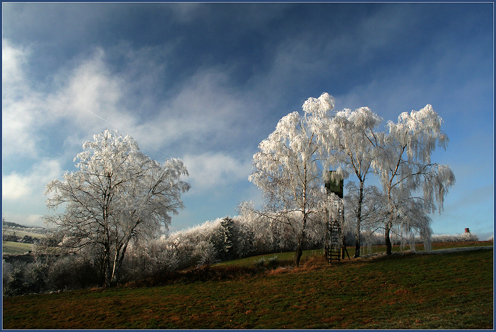 Winterimpressionen