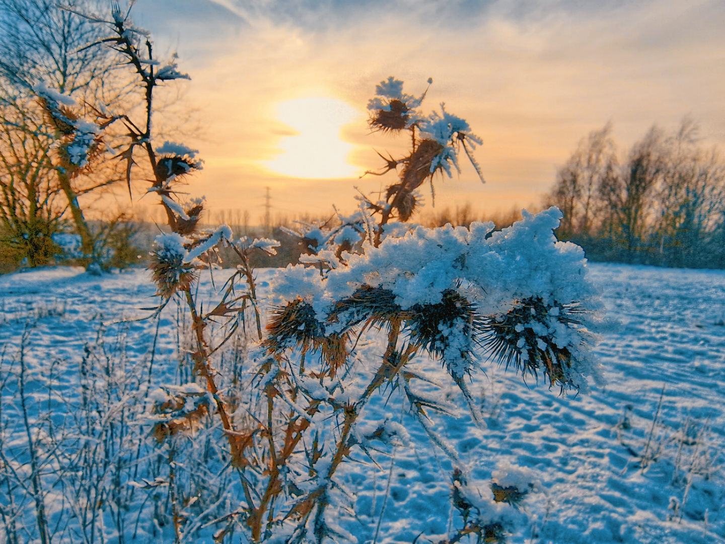 Winterimpressionen 