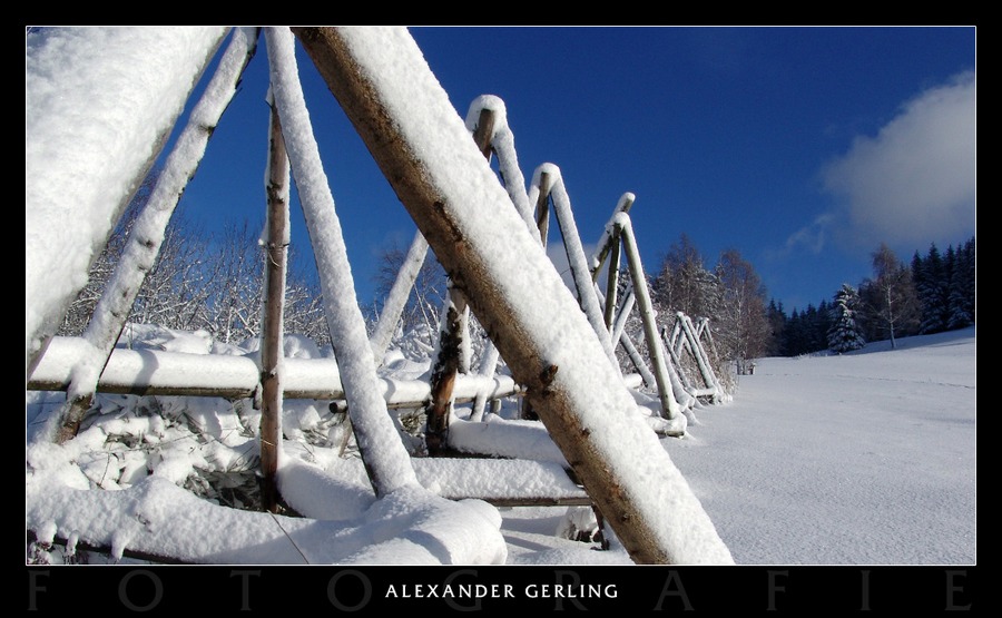 Winterimpressionen