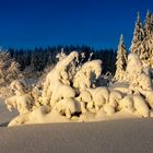 Winterimpressionen - Bayerischer Wald