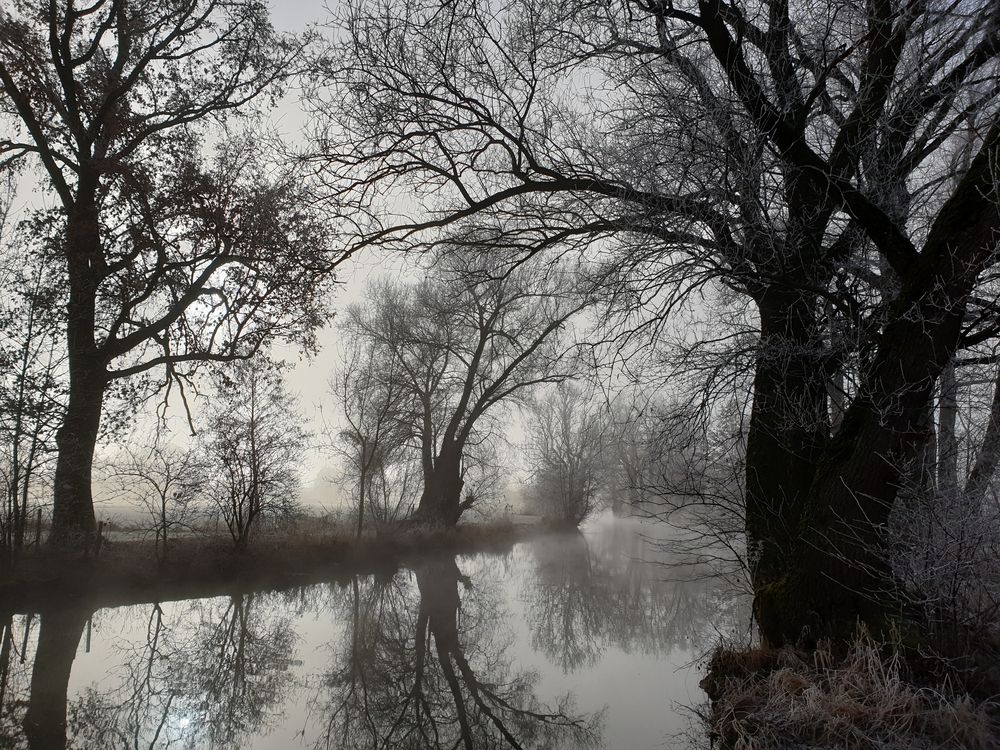 Winterimpressionen bei Übersee im Chiemgau 