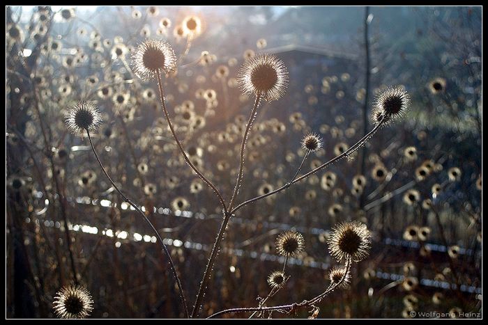 Winterimpressionen