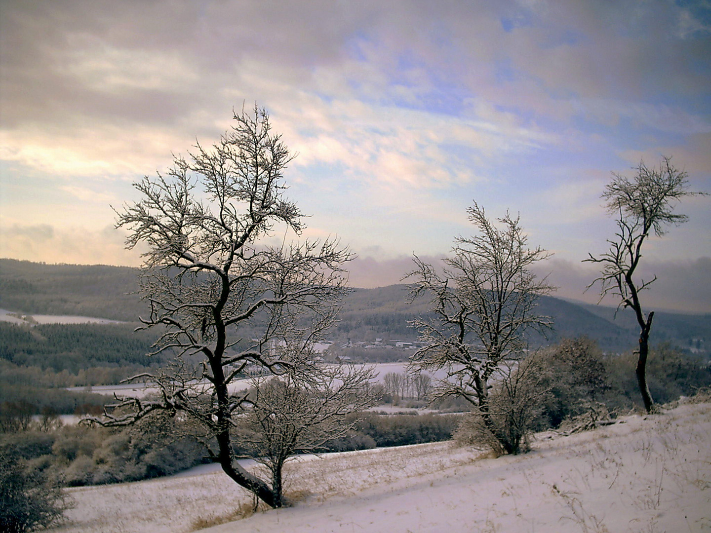 Winterimpressionen