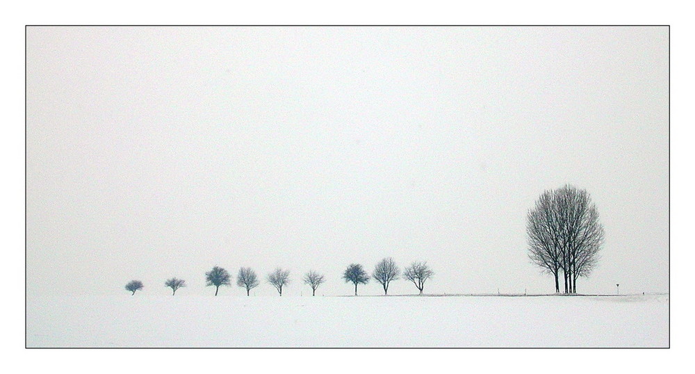 Winterimpressionen