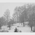 Winterimpressionen