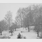 Winterimpressionen