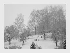 Winterimpressionen