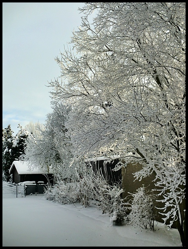 Winterimpressionen