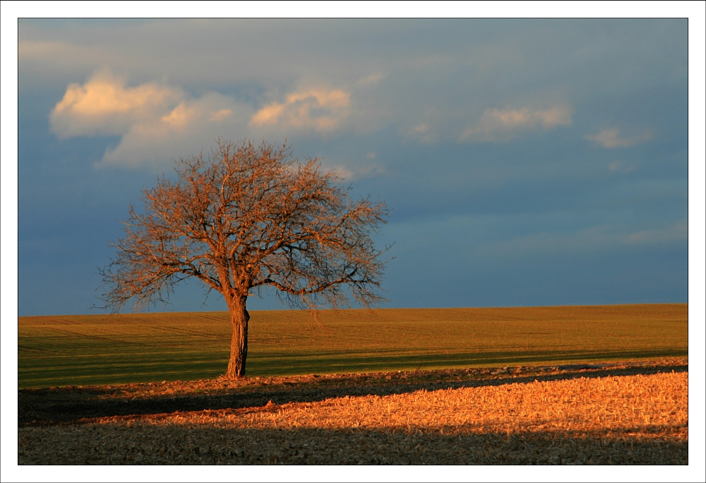 Winterimpressionen