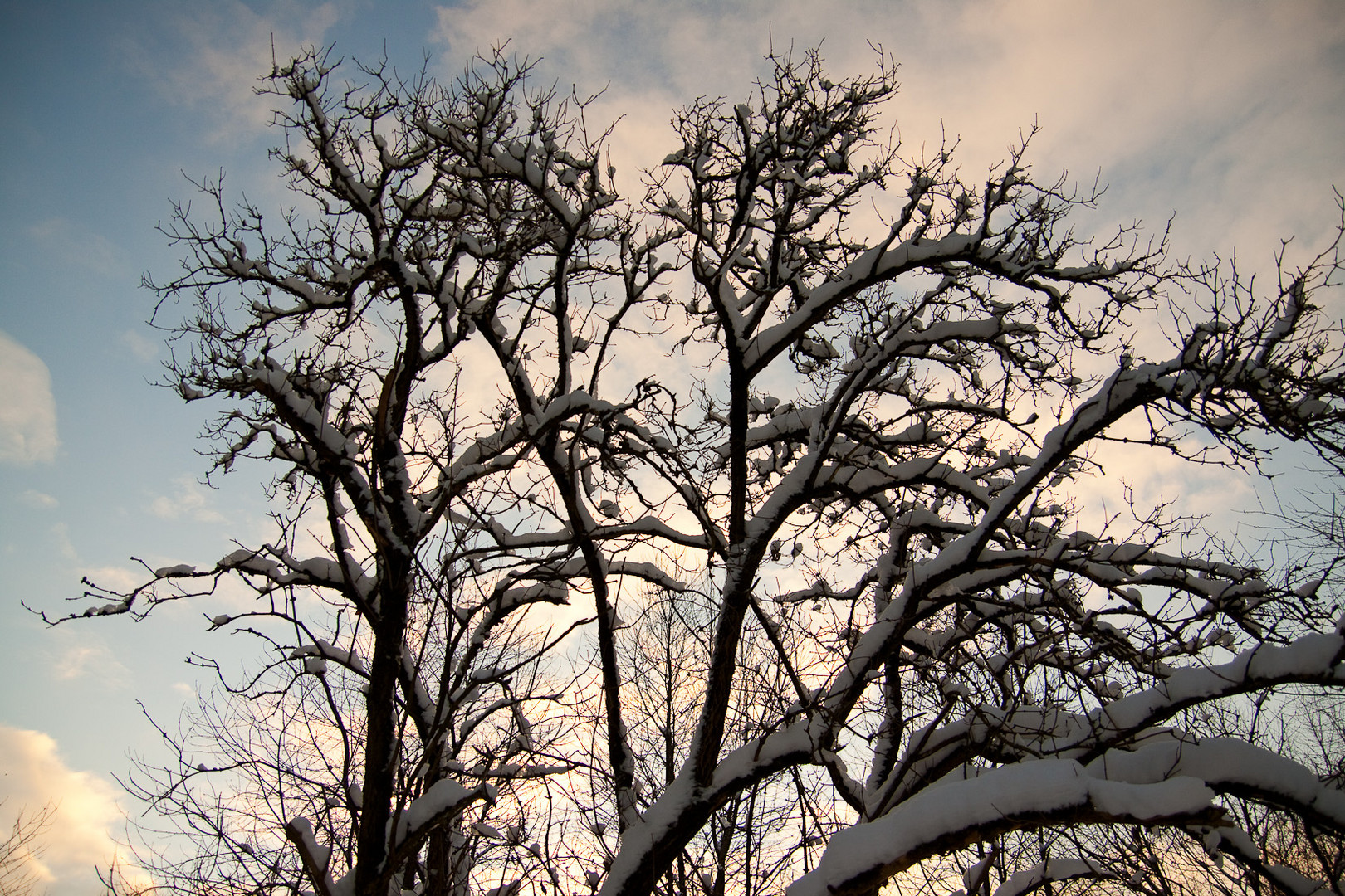 Winterimpressionen