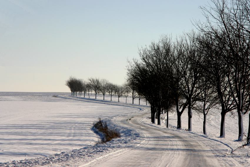 Winterimpressionen