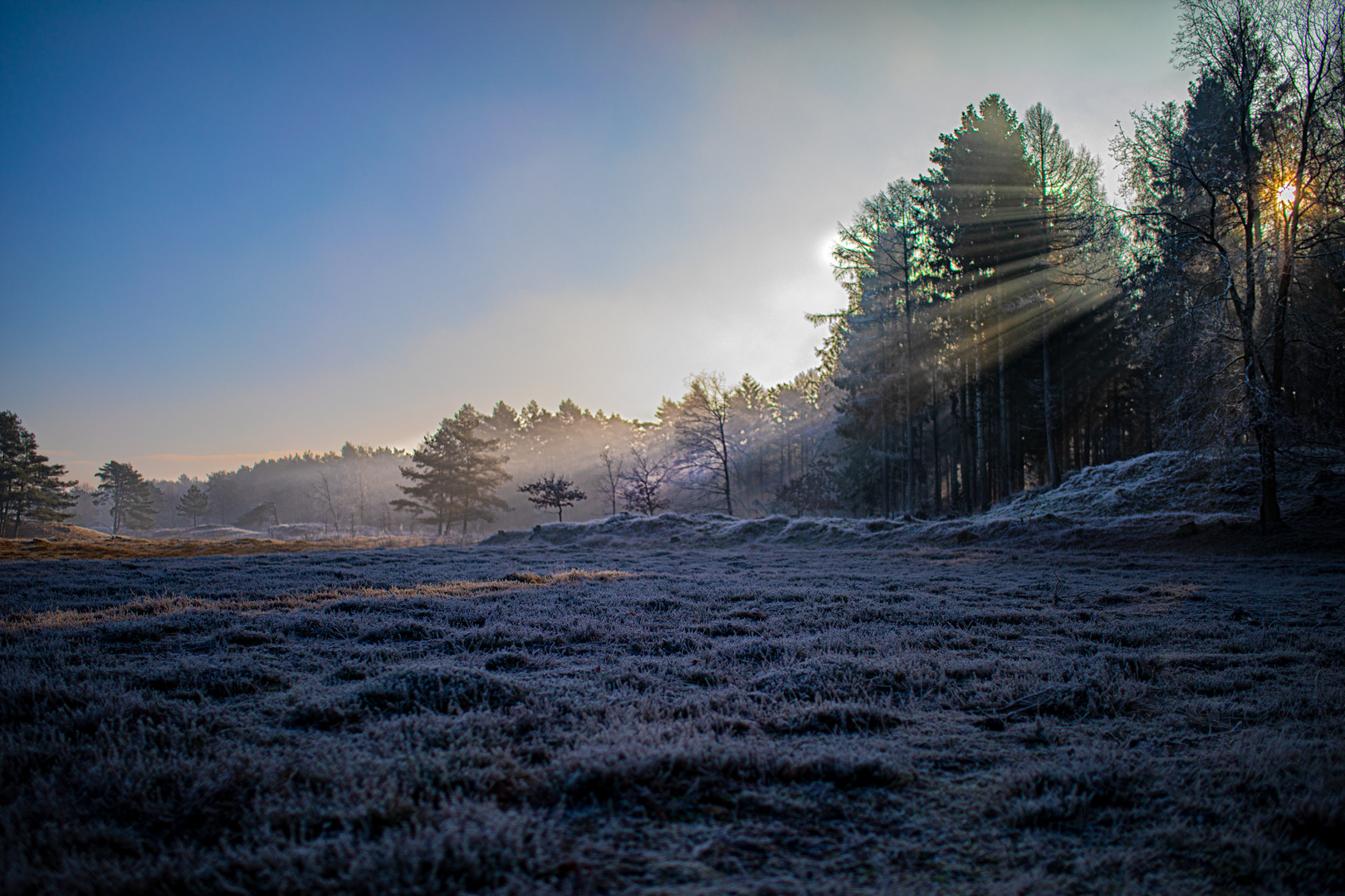 Winterimpressionen