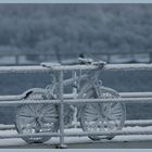 Winterimpressionen / Fahrrad vom Schneemann