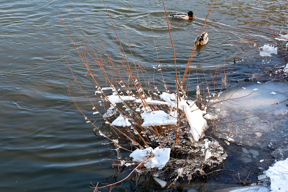 Winterimpressionen