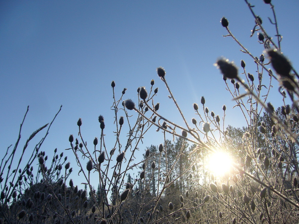 Winterimpressionen