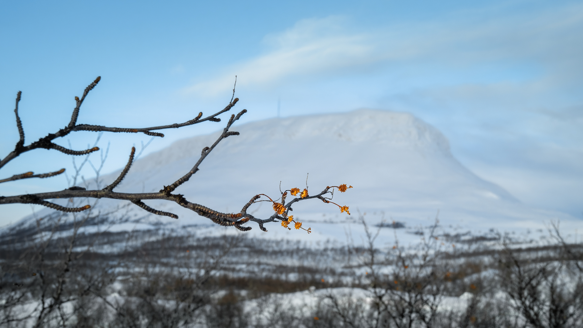 Winterimpressionen / Finnisch Lappland