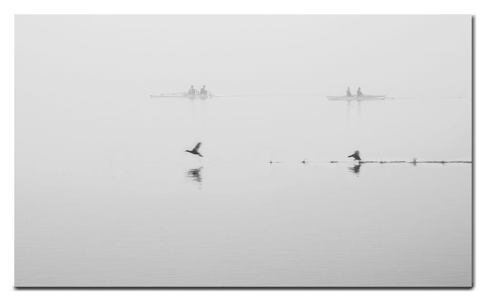 Winterimpressionen Hamburg Alster 