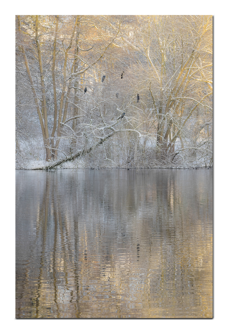 Winterimpressionen Hamburg Alster Nord