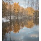 Winterimpressionen Hamburg Alster Nord