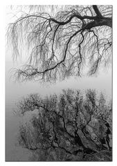 Winterimpressionen Hamburg Außenalster