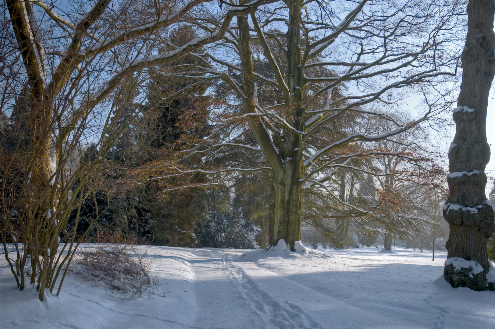 Winterimpressionen Hügel-Park Essen