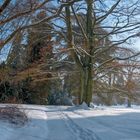 Winterimpressionen Hügel-Park Essen