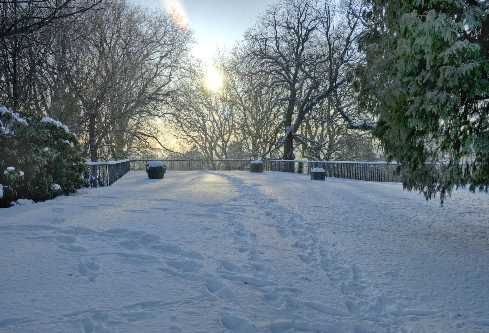 Winterimpressionen Hügel-Park Essen III