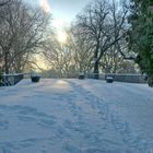 Winterimpressionen Hügel-Park Essen III