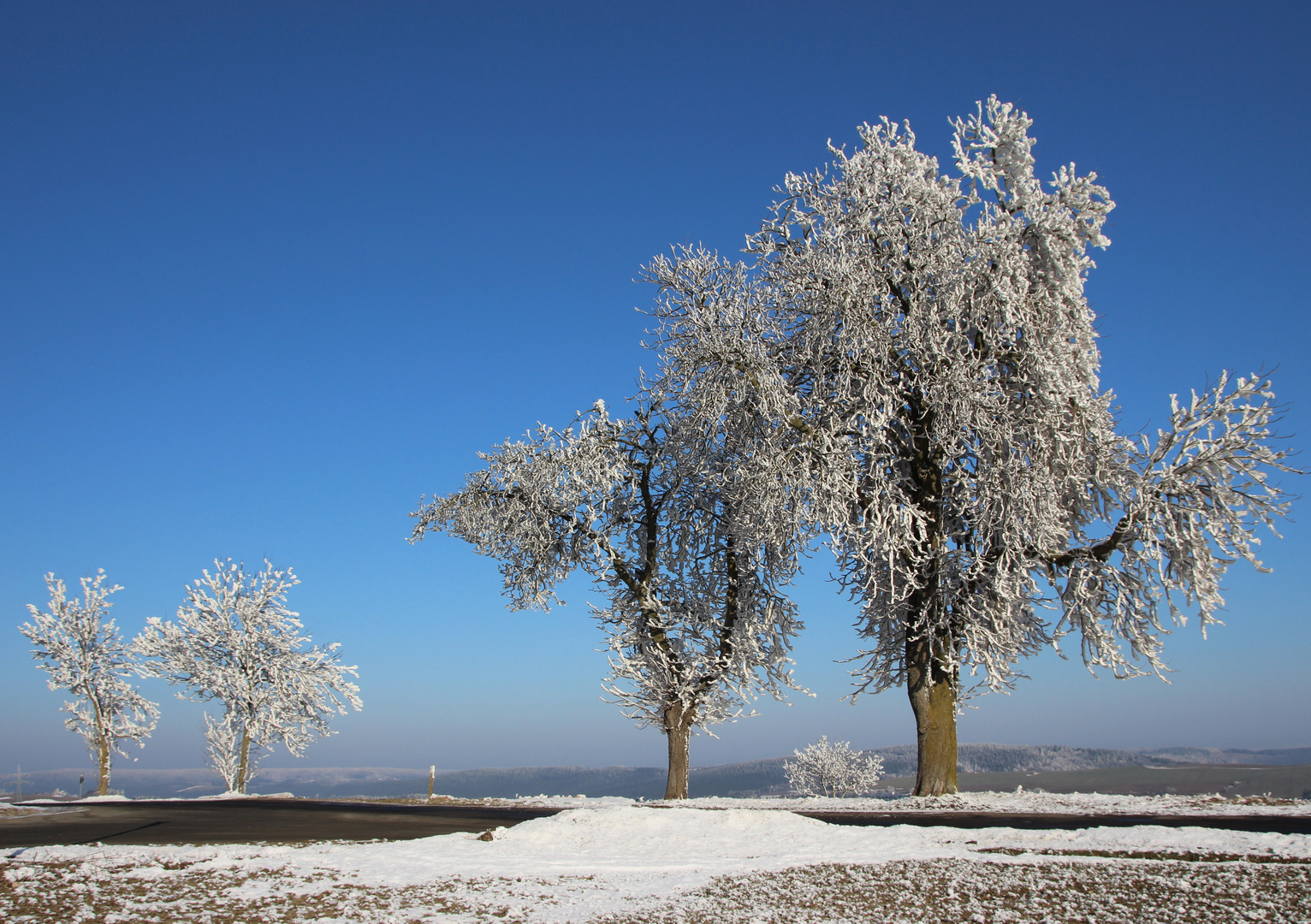 Winterimpressionen I