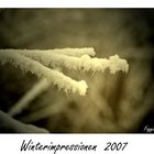 Winterimpressionen I