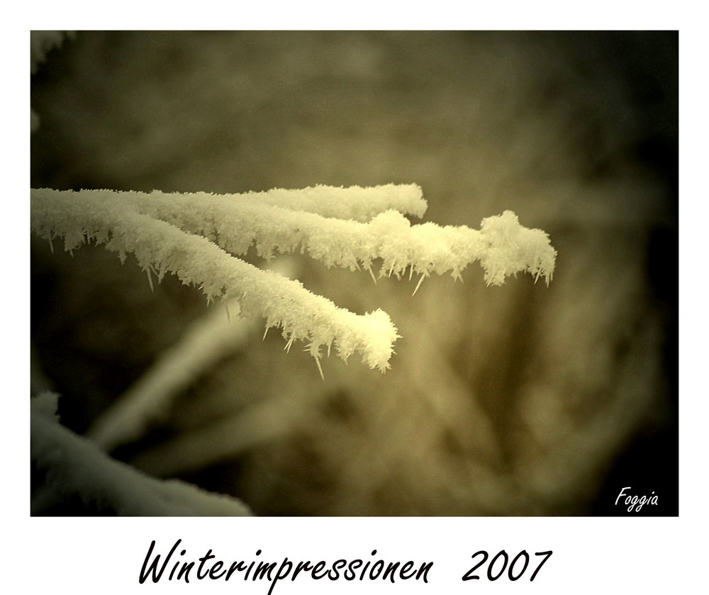 Winterimpressionen I