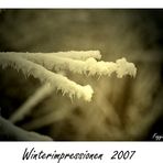 Winterimpressionen I