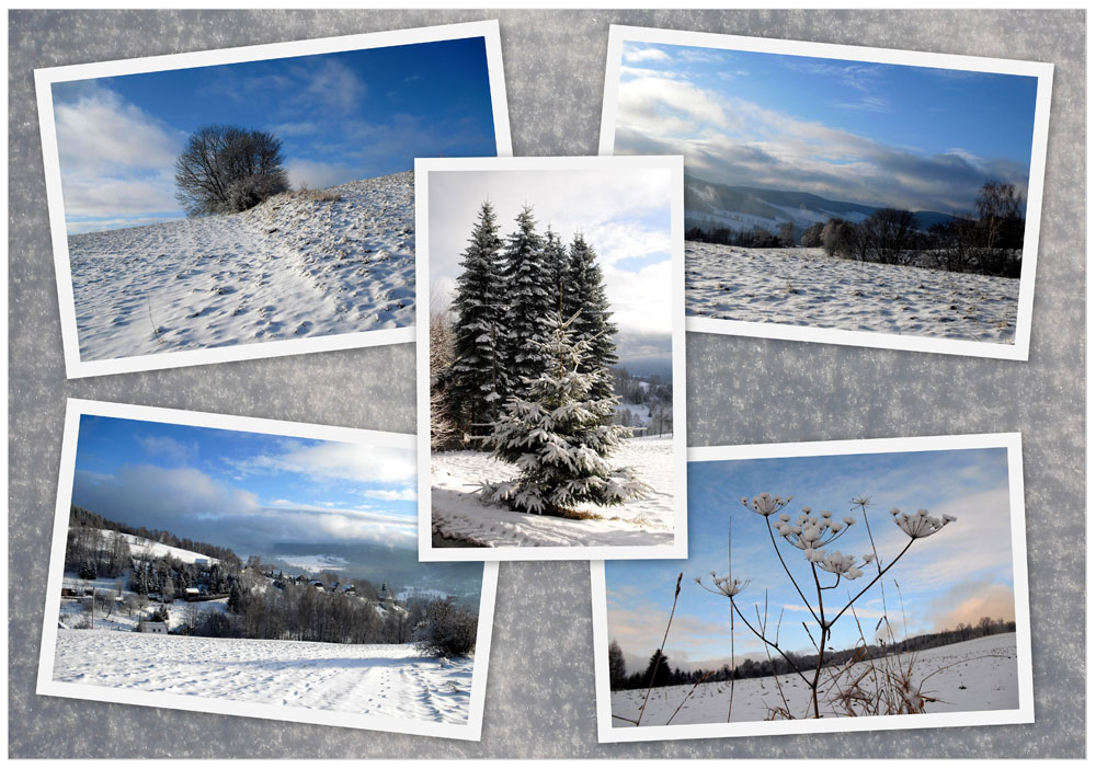 Winterimpressionen I