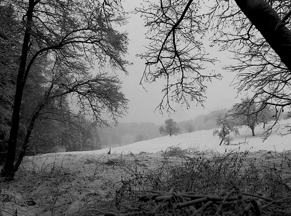 Winterimpressionen I