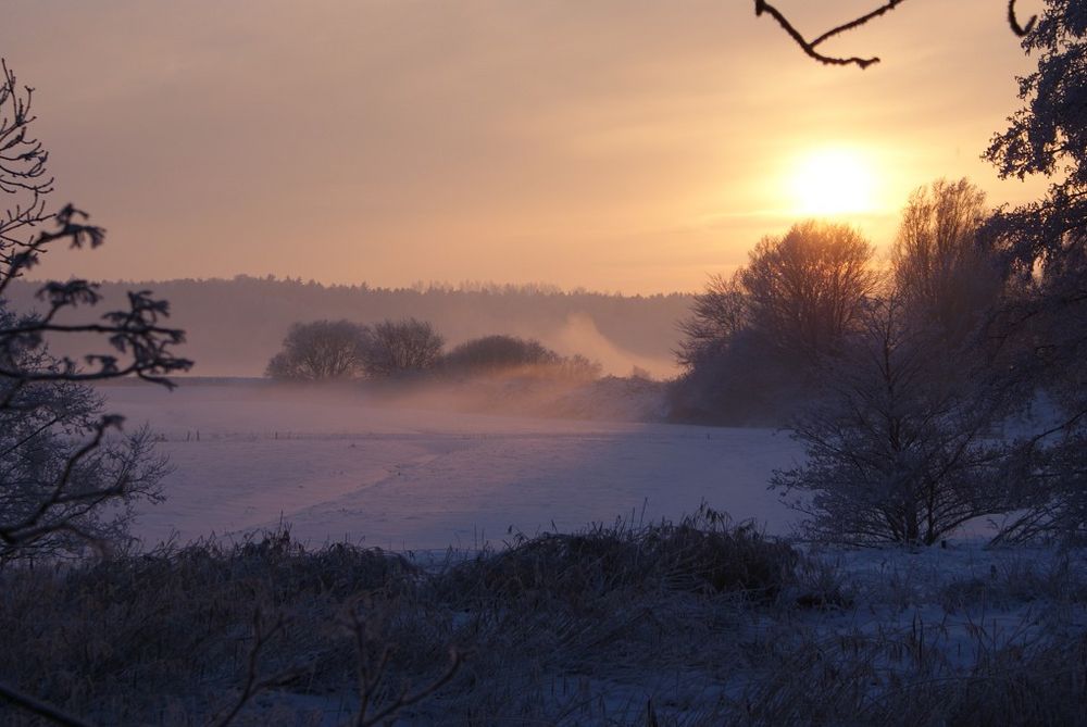 Winterimpressionen I