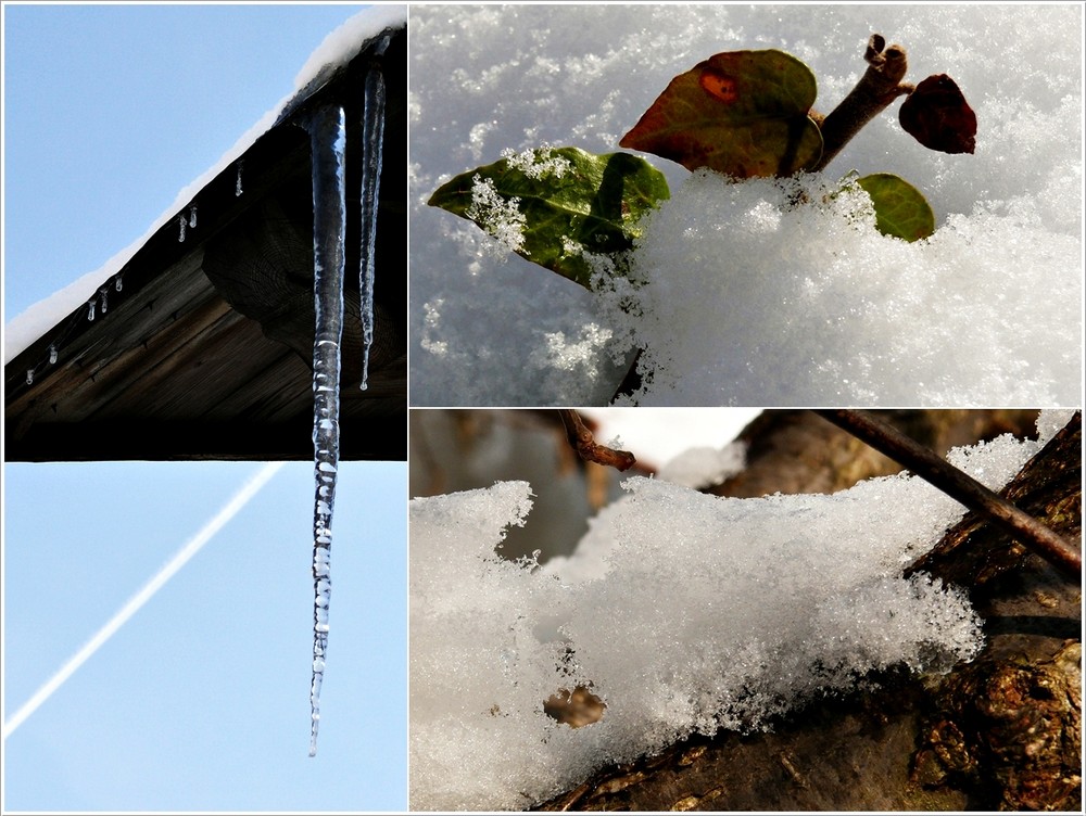 Winterimpressionen II